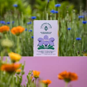 Caja de bio infusiones Magic